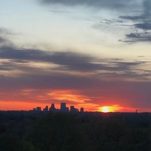 Meet your Posher, Madeleine